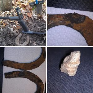 2016 Finds