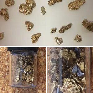 My findings.