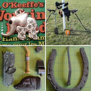 First Year Finds