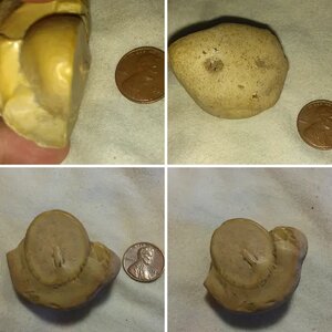 Petrified Seed/??? or......???????