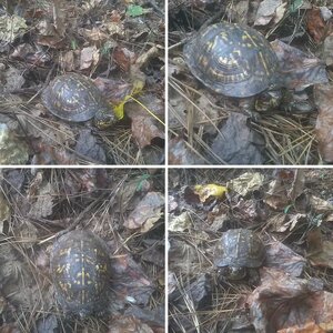 Wild Life , Scenery & Historic Markers