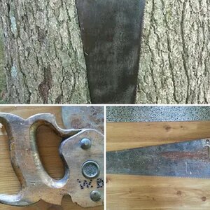Saws-  Disston, Unknown