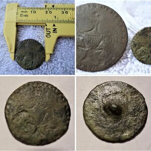 2018 finds