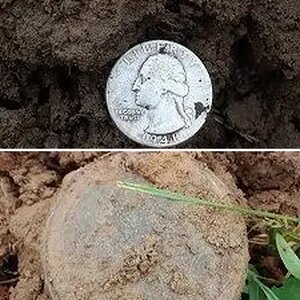 Sunday June 10, 2018