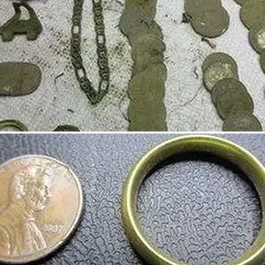 Middle School Field Hunt