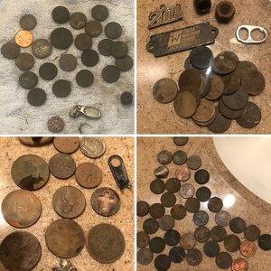 Daily Finds