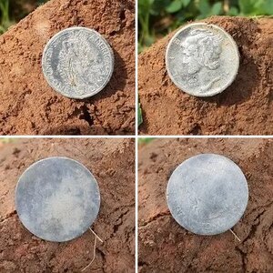 Middle School Silver