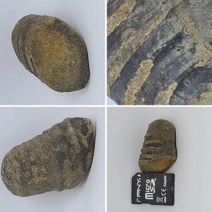Unidentified but Interesting Rocks