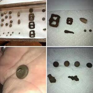 Backyard Finds