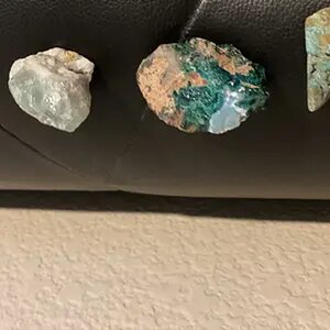 My Favorites