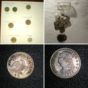 coin finds