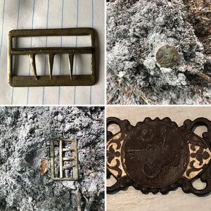 My Finds