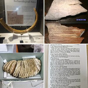 Mammoths of Southern Minnesota