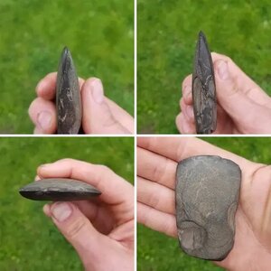 2019-2020 finds