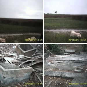 WAKULLA BEACH HOTEL RUINS