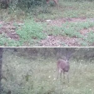 DOE!