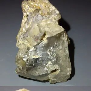 Galactic Specimen 04