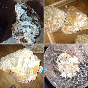 Missouri treasure