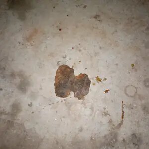 Axe head