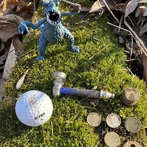 Park Hunt
