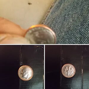 My coins