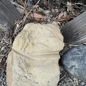 SCM Archaeology