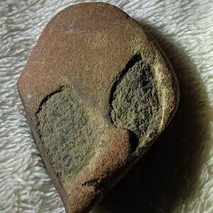 Alien head