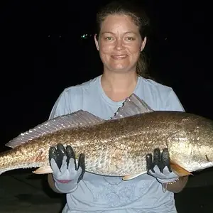 My big ole Red Fish caught in Pensacola, FL in 2011.
