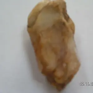 PICT0015