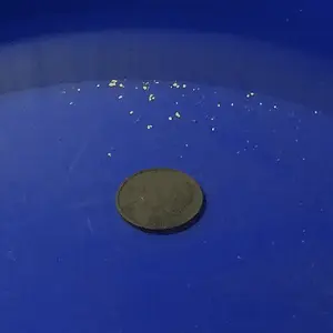 From a little quick trip with nick about 6 buckets of material