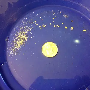 gold