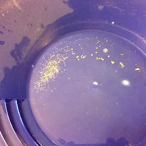 more same gold