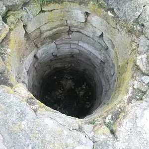 875074531