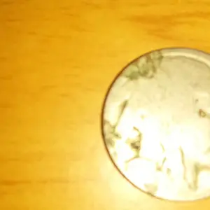 front of buffilo nickle