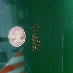 .92 grams Skykomish River Gold
