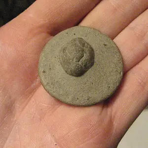 Fossil from New York