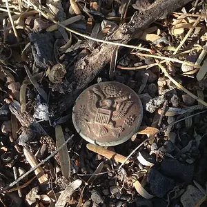 image 3981850116