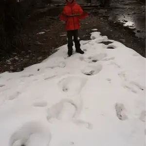 [No title]