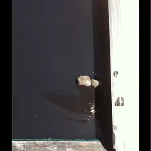 [No title]