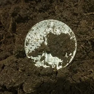 1920 Standing Liberty Quarter in the dirt