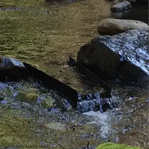 Good angle, good flow!