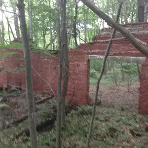 [No title]