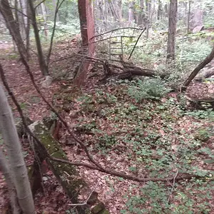 [No title]