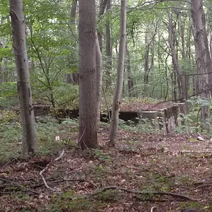[No title]