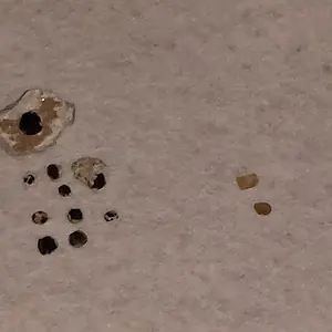 Garnets (left) and Topaz (right) from Ruby Mtn in Chaffee county. Very cool to be able to find birthstones for my whole family in one spot (Topaz for 