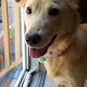 Macy.