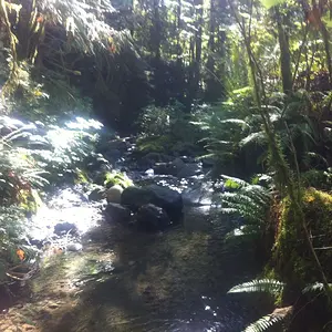 Down stream