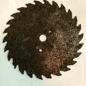 Saw Blade, Lawton House, Oviedo, FL