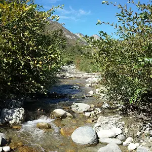 Upstream View