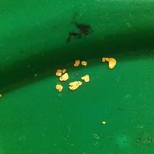 sniping Calaveras 1/2 day